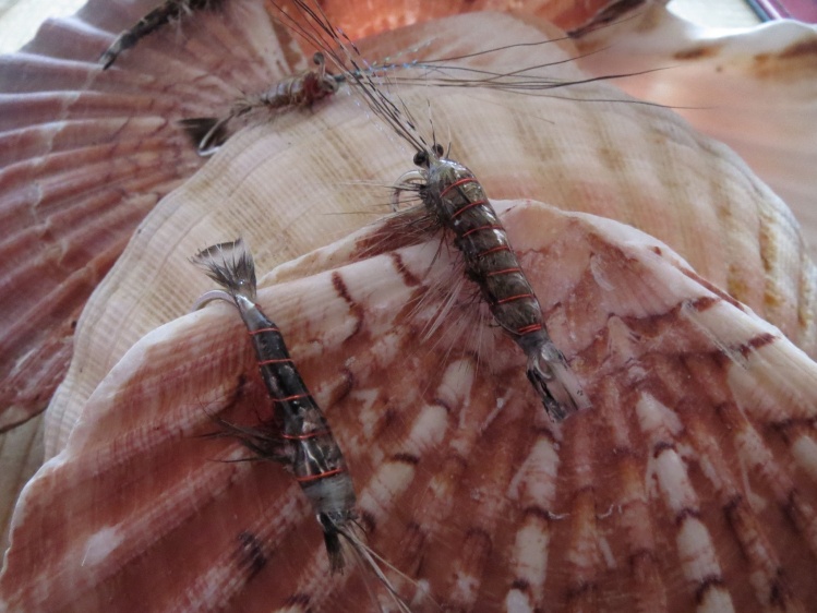 Prawn flies