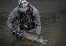 Fly-fishing Pic of Brown trout shared by Beau Price – Fly dreamers 