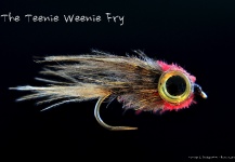 Fly-tying Image by Pierre Lainé 