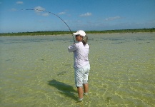 The flats of Andros Island Bahamas