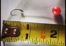 Fly tying...bead rigging...rodent creations