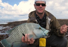 Fly-fishing Photo of Napoleon Wrasse or Humphead shared by Greg Rieben – Fly dreamers 
