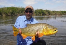 Fly-fishing Picture of Golden Dorado shared by Martin Tagliabue – Fly dreamers