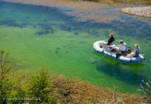 Interesting Fly-fishing Situation of Brown trout shared by Marcelo Poo Montecinos 