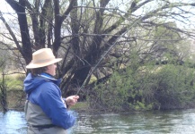 Limay 2009