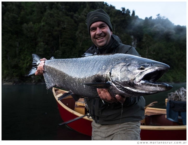 www.lavaguada.cl: "Los Salmones del rio Petrohue, sur de Chile".