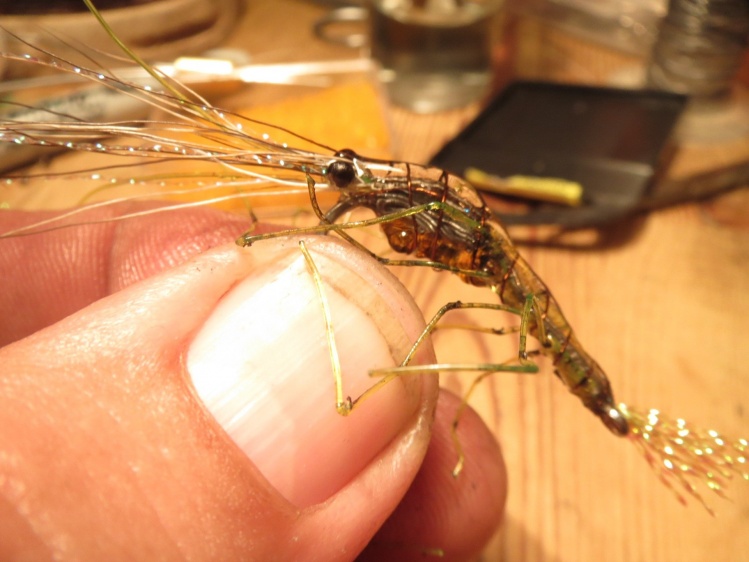 New tying, still trying to perfect this pattern, managed to tie in some lead wire in the thorax to keep it balanced