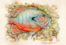 Daron Nall's Great Fly-fishing Art Image – Fly dreamers 
