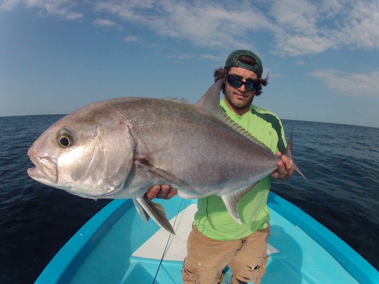 Amberjack