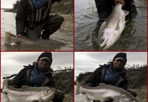 Rodrigo Amadeo 's Fly-fishing Pic of a Steelhead – Fly dreamers 