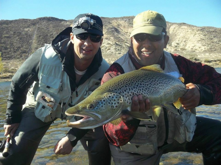 Otro macho que va llegando,Rio Limay, margen Neuquen.
Jesus Bascur y Sebastian RV