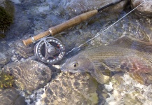 Stig M. Hansen 's Fly-fishing Picture of a Grayling – Fly dreamers 