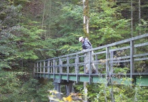 Sweet Fly-fishing Situation Image by Stig M. Hansen 