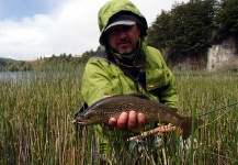 La Vaguada  Fly Fishing 's Fly-fishing Picture of a Brown trout – Fly dreamers 