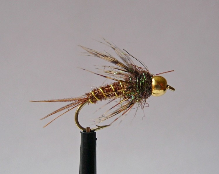 Bead head Pheasant tail nymph