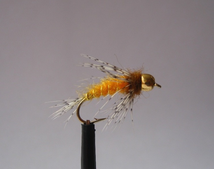 Bead head orange nymph