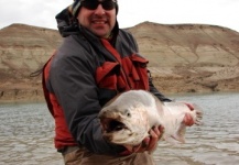 Carlos Fernando Hernandez (AMBA) 's Fly-fishing Pic of a Steelhead – Fly dreamers 