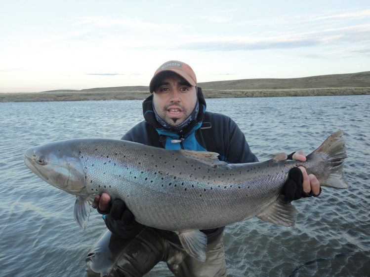 Trucha pescada en el Rio Grande.-