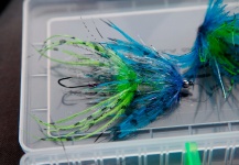 Ben Paull 's Fly for Steelhead - Picture – Fly dreamers 