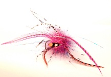 Sweet Fly-tying Picture by Ben Paull 