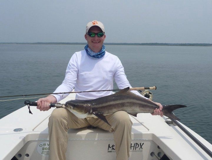 From a few years back, my first cobia. Nice little male. Great sight-casting target, these cobia. 