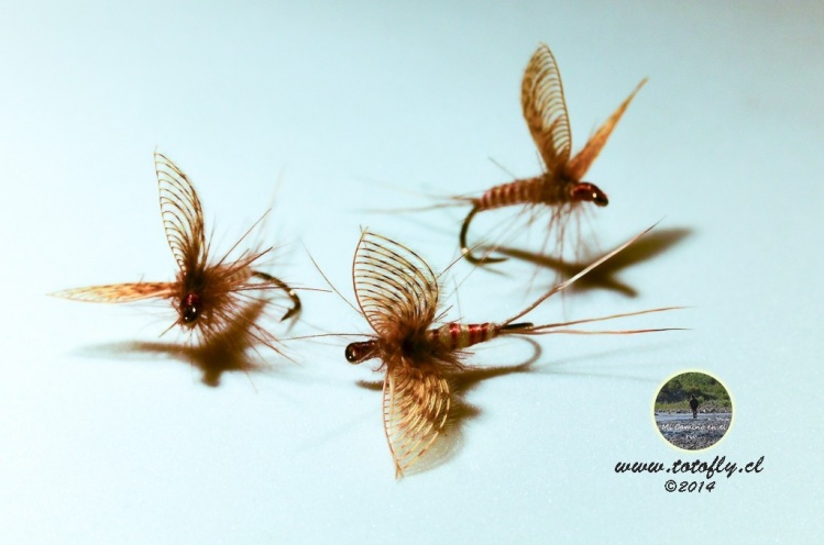 Esta hermosísima mosca llamada Wally Wing es una imitación más que realista de una de nuestras queridas moscas de mayo... Seguir leyendo y ve paso a paso en: <a href="http://www.totofly.cl/2014/04/wally-wing-toto/">http://www.totofly.cl/2014/04/wally-wing</a>