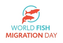 World Fish Migration Day 2014