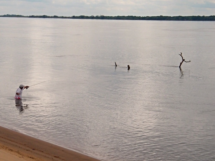 pescando dorados con mosca en alto Paraná