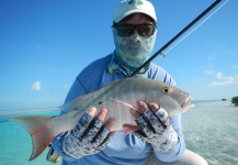 Fly-fishing Picture of Bohar - Two Spot Red Snapper shared by Celio Kelab – Fly dreamers