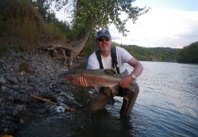 Fly-fishing Picture of Steelhead shared by Peter Cooke – Fly dreamers