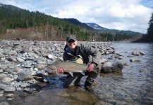 Fly-fishing Picture of Steelhead shared by Peter Cooke – Fly dreamers