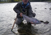 Peter Cooke 's Fly-fishing Image of a Steelhead – Fly dreamers 