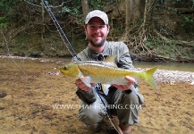Thai Fishing 's Fly-fishing Photo of a Mahseer – Fly dreamers 