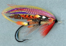 Fly for Atlantic salmon - Picture shared by Mike Boyer – Fly dreamers