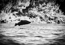  Fotografía de Pesca con Mosca de Salmón King por Esteban Tripicchio – Fly dreamers 