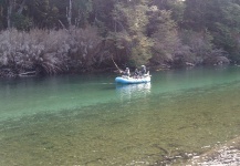 Good Fly-fishing Situation of Salmo fario - Image shared by Tato Rodriguez – Fly dreamers