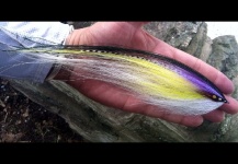 Jason Taylor 's Fly-tying for Striper - Photo – Fly dreamers 