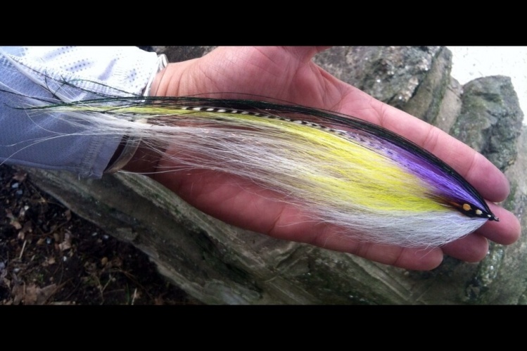 Big herring profile....last of the salt flies for a while