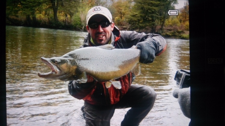 Una de las tantas marrones que salieron en este hermoso rio,nunca vi tantos peces y de ese tamaño en el Rivadavia.