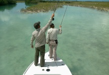 The flats of Andros Island Bahamas