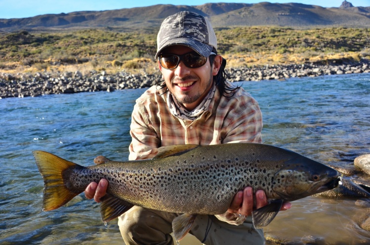 Pesca con mosca de trucha marrón en un tributario del Lago Carreras en Chile