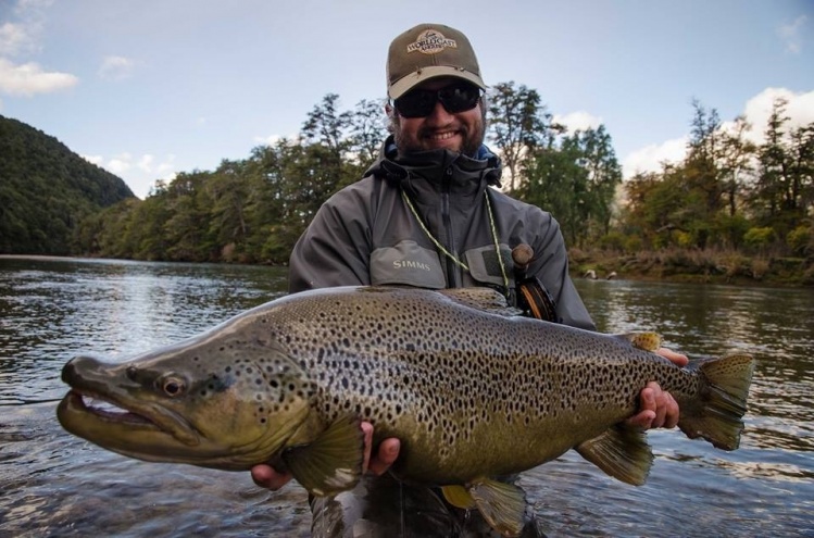 Pesca de trucha marrón con mosca: Una bestia total..!