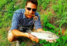 Ben Moro 's Fly-fishing Picture of a Chub – Fly dreamers 