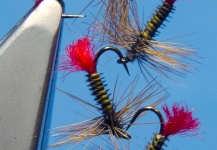 Fly-tying for Grayling - Picture shared by Alan Bithell – Fly dreamers