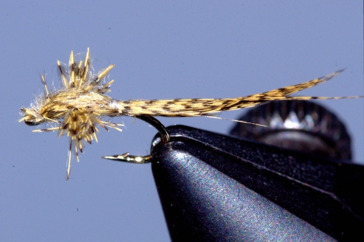 A one material fly, from one clump of duck flank