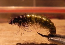 VINCENT NEMO 's Fly-tying for Brown trout - Picture – Fly dreamers 