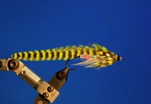 Double Matuka tube fly chartreuse