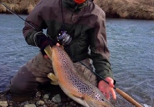 Elias Petur Thorarinsson  's Fly-fishing Image of a Brown trout – Fly dreamers 