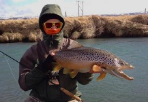 Fly-fishing Image of Brown trout shared by Elias Petur Thorarinsson  – Fly dreamers