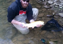 Other Trout